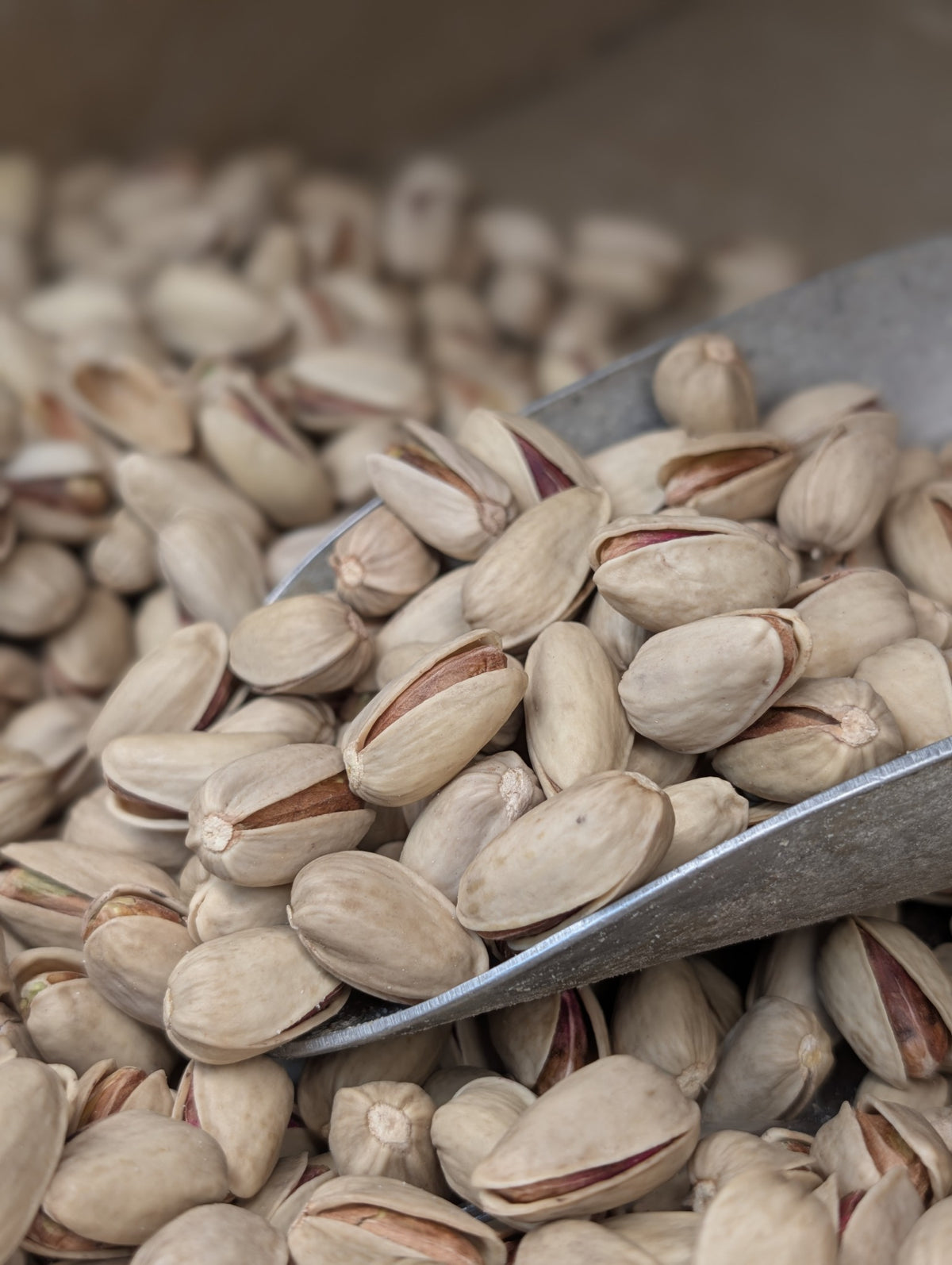 Salamat Raw Pistachio پسته خام