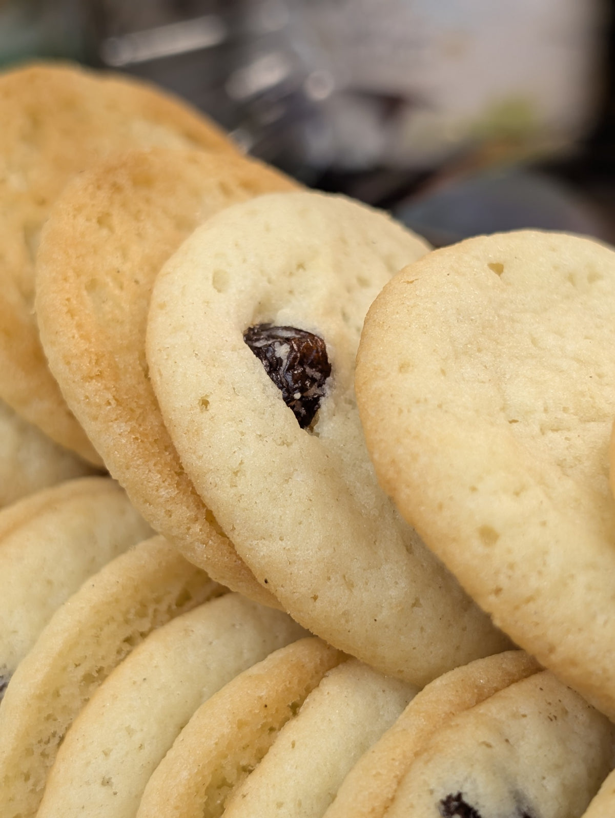 Salamat Raisin cookies کلوچه کشمشی