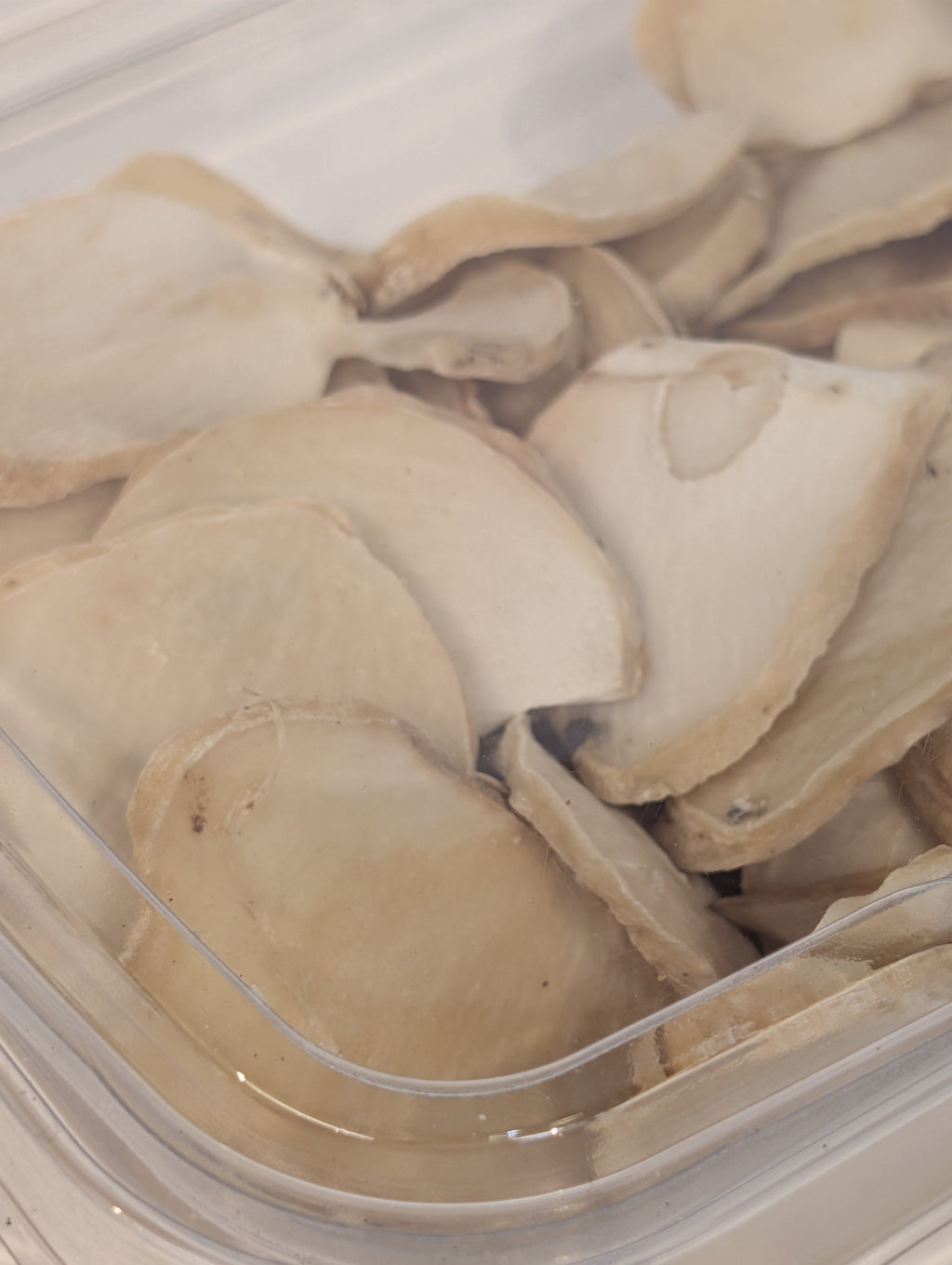 Shallot ( Moosir)موسیر