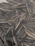 Salamat Sunflower seeds
تخمه آفتابگردان