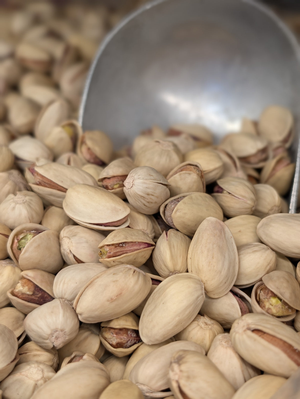 Salamat salted Pistachio پسته برشته