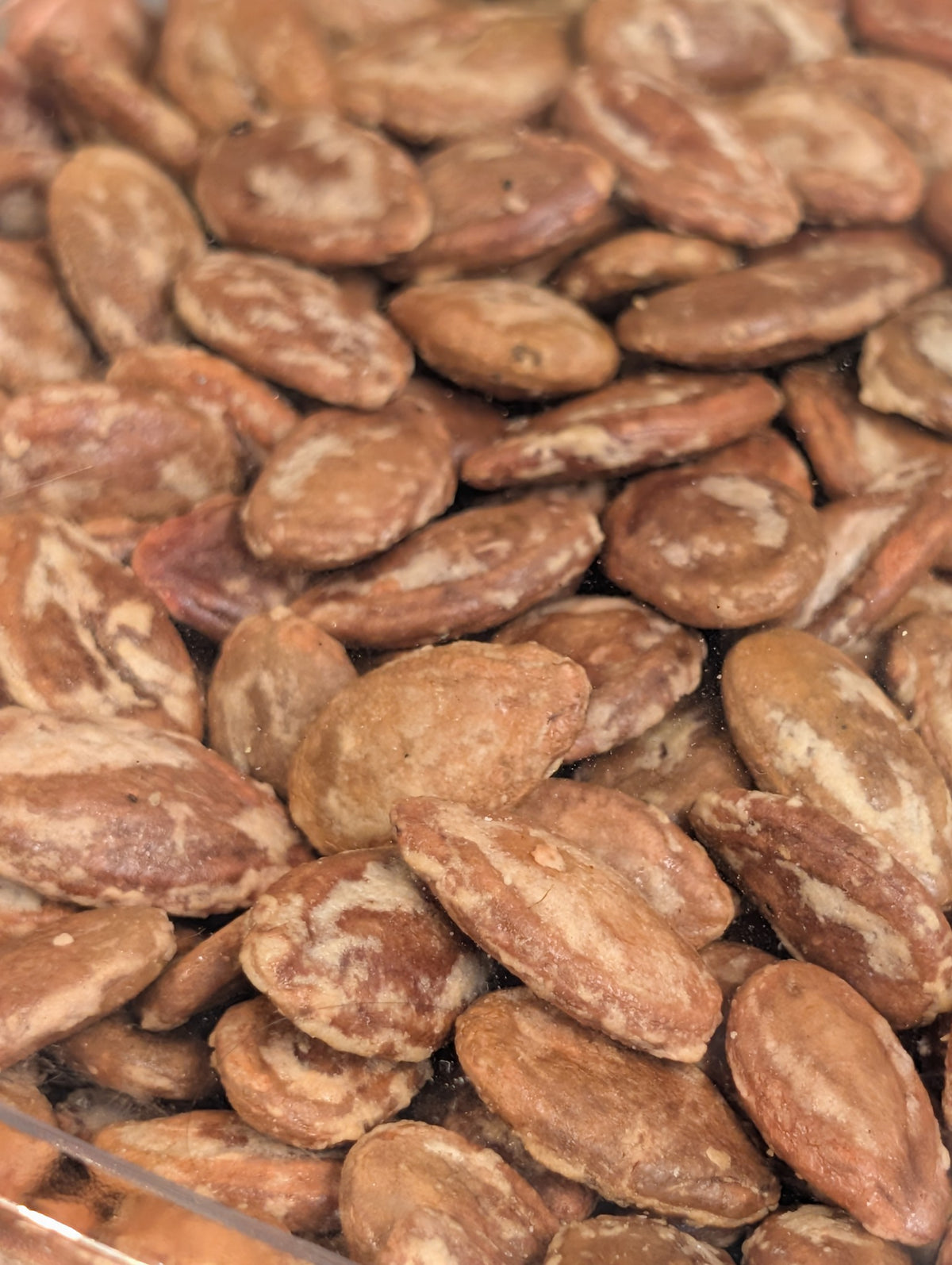 Salamat Jabonni seeds تخمه جابونی