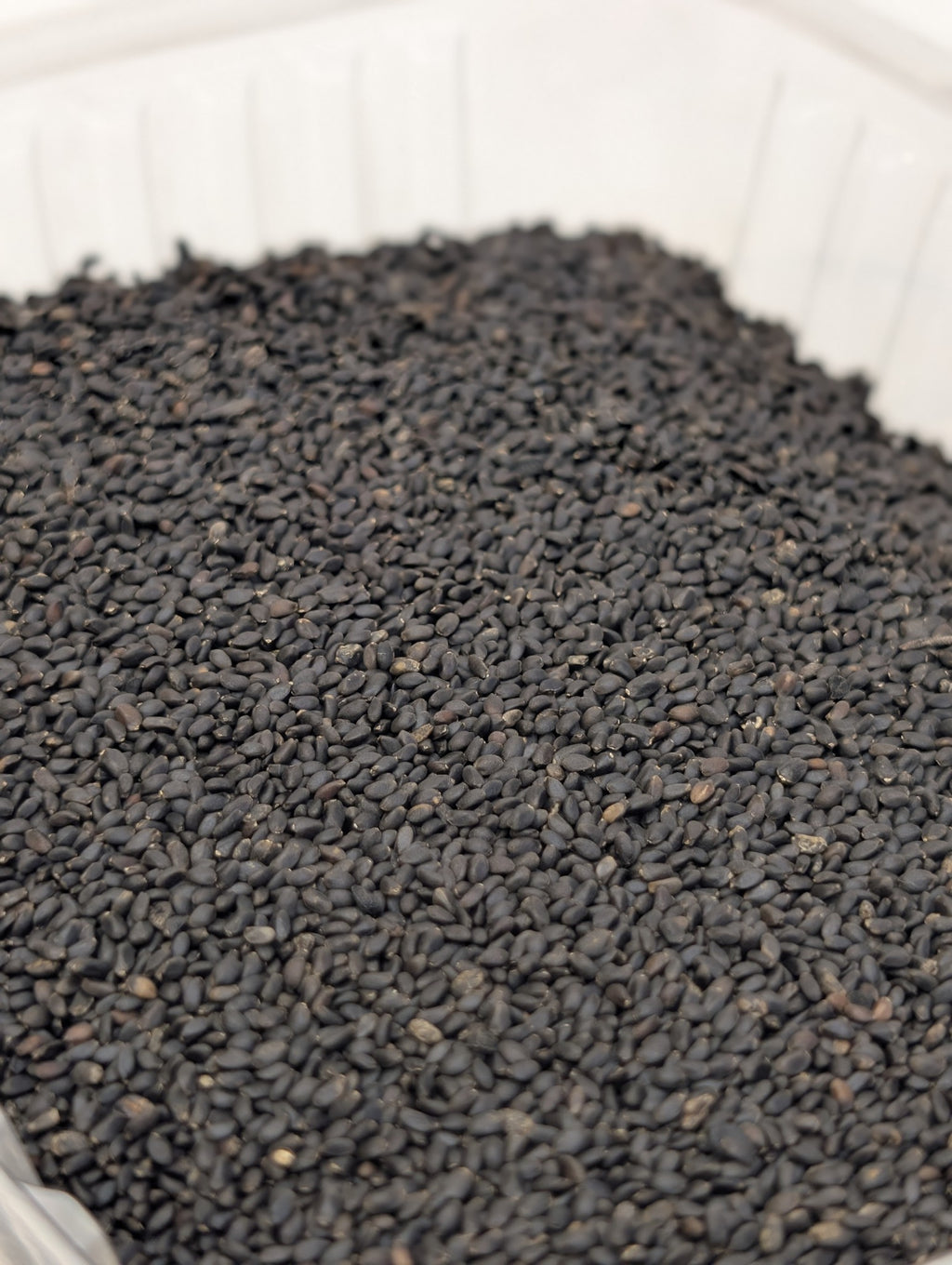 SALAMAT Basil seeds تخم شربتی