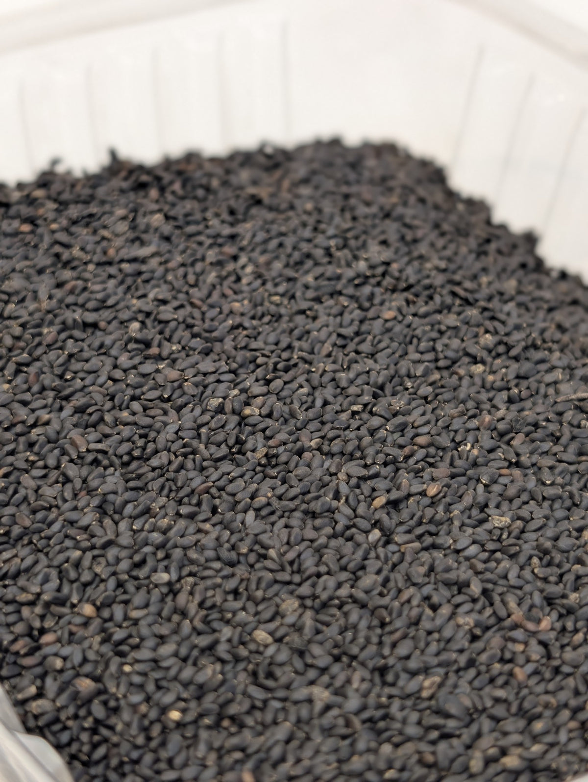 SALAMAT Basil seeds تخم شربتی
