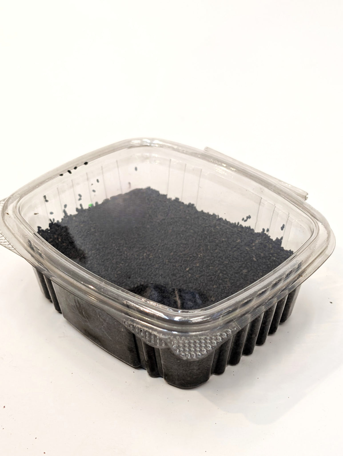 SALAMAT Basil seeds تخم شربتی