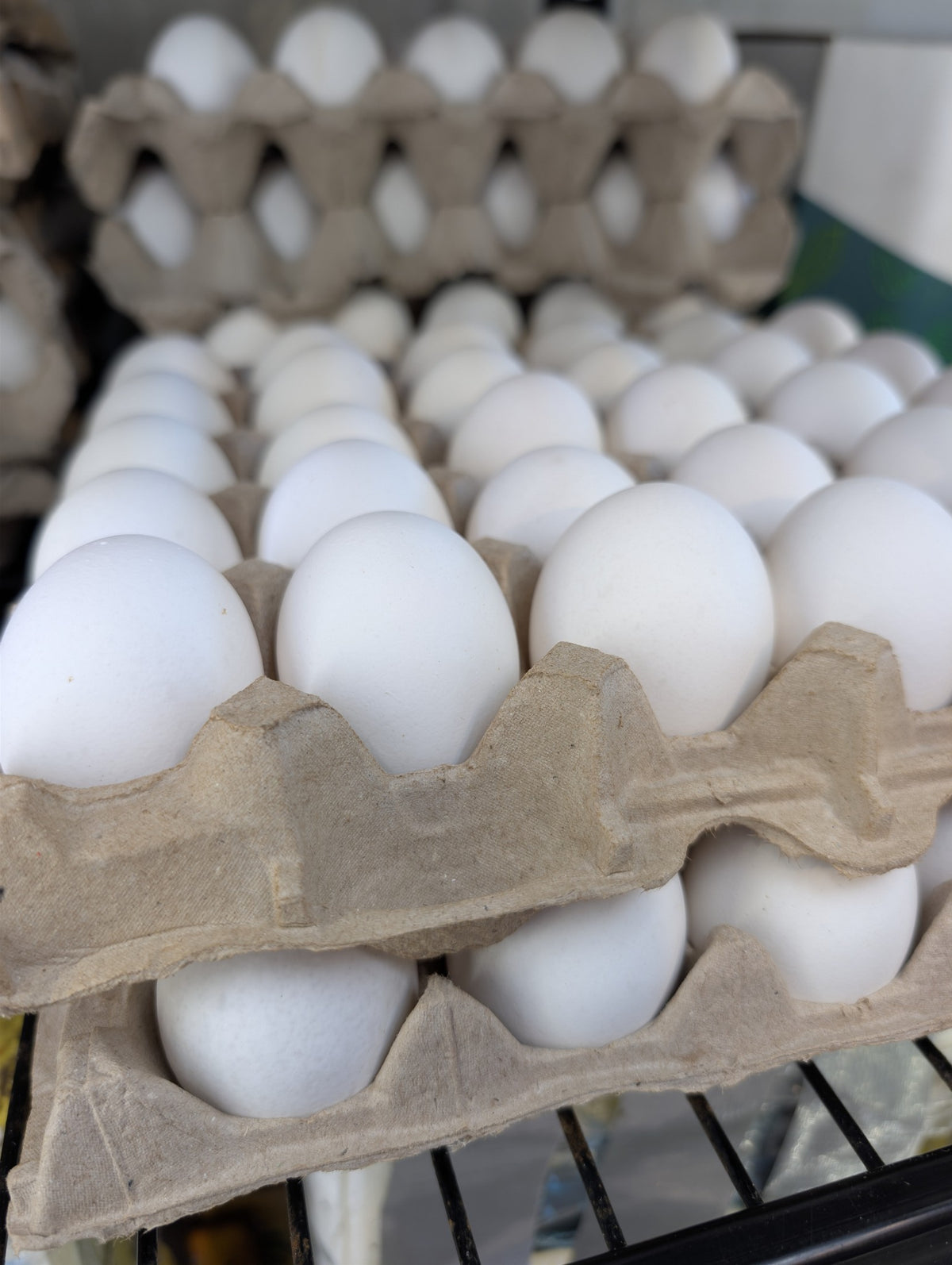 30-Piece Egg Tray تخم مرغ شانه ای 30 عددی