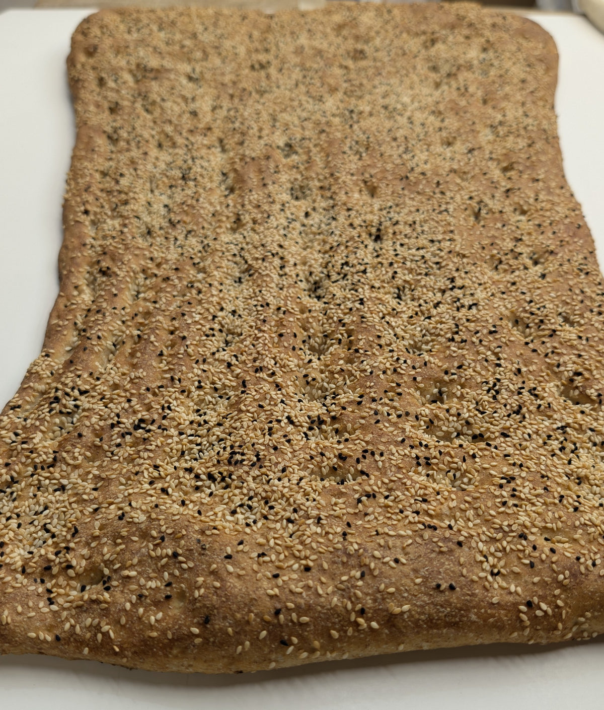 Salamat Barbari mashhadi
بربری مشهدی