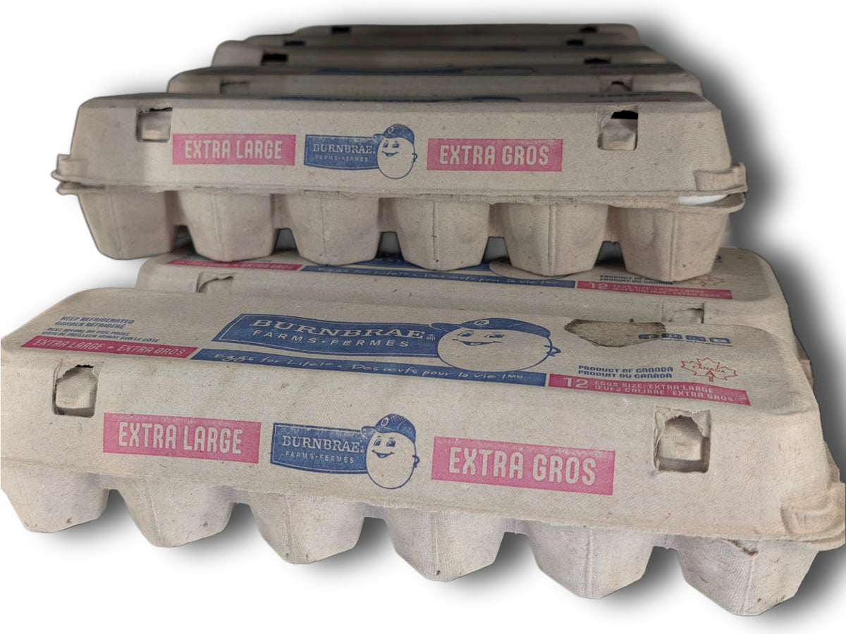 Salamat Egg 12 dozen تخم‌مرغ ۱۲ دوجین