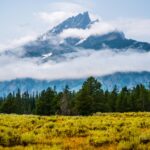 Rustic Elegance: Exploring the Iconic Dinnerware of Yellowstone TV Series