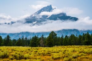 Rustic Elegance: Exploring the Iconic Dinnerware of Yellowstone TV Series