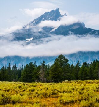 Rustic Elegance: Exploring the Iconic Dinnerware of Yellowstone TV Series