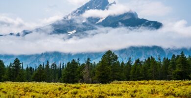 Rustic Elegance: Exploring the Iconic Dinnerware of Yellowstone TV Series