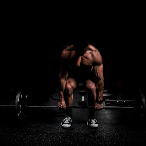 Essential Kitchen Tools Bodybuilders Needs for Optimal Meal